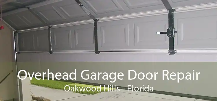 Overhead Garage Door Repair Oakwood Hills - Florida