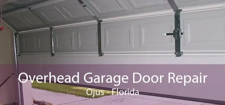 Overhead Garage Door Repair Ojus - Florida