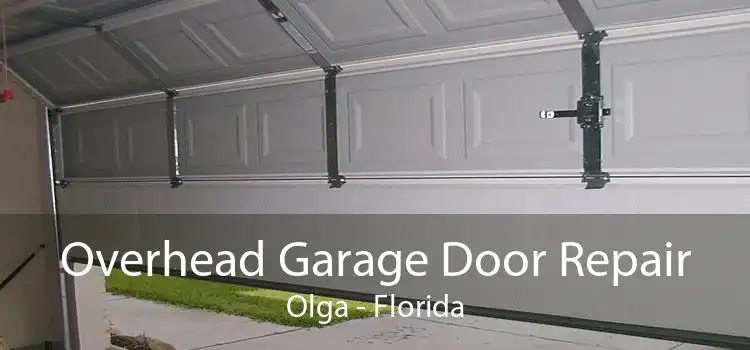 Overhead Garage Door Repair Olga - Florida