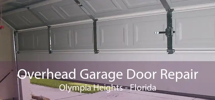 Overhead Garage Door Repair Olympia Heights - Florida