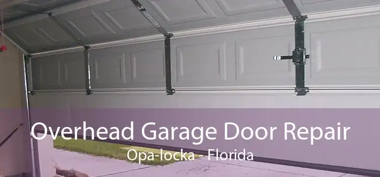 Overhead Garage Door Repair Opa-locka - Florida