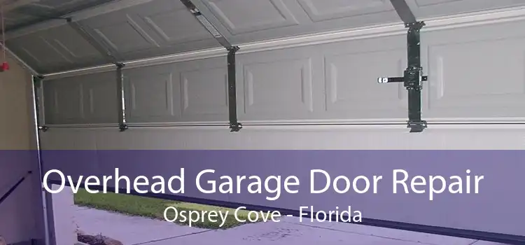 Overhead Garage Door Repair Osprey Cove - Florida