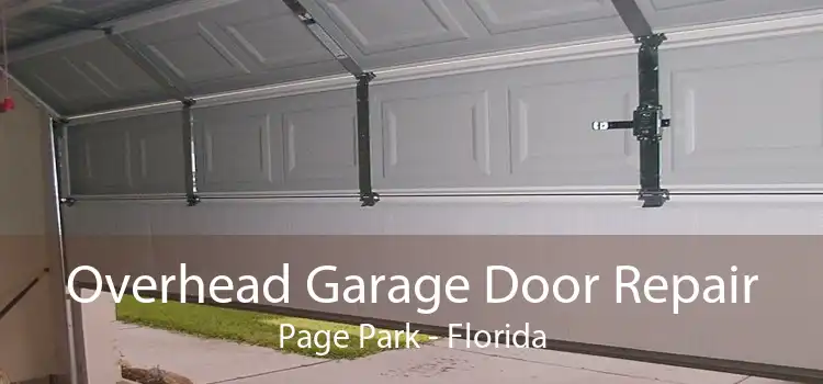 Overhead Garage Door Repair Page Park - Florida