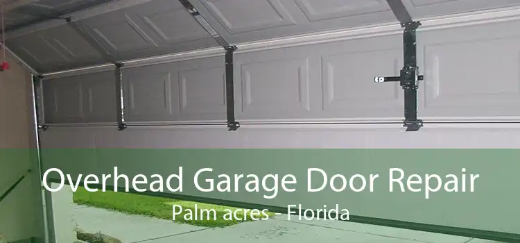 Overhead Garage Door Repair Palm acres - Florida