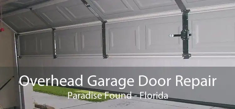 Overhead Garage Door Repair Paradise Found - Florida