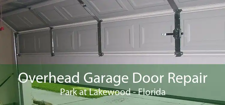 Overhead Garage Door Repair Park at Lakewood - Florida