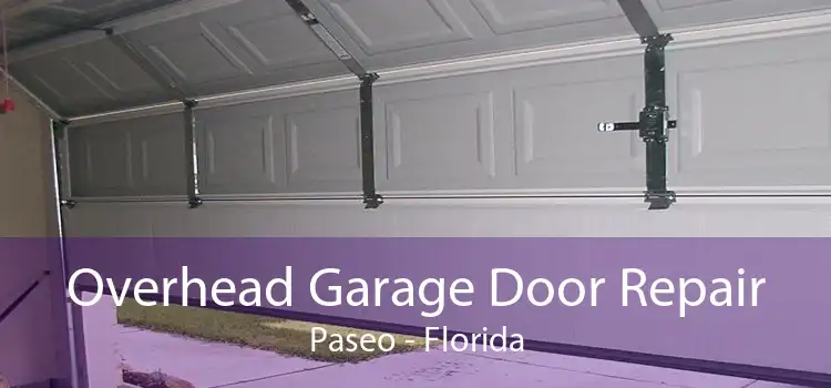 Overhead Garage Door Repair Paseo - Florida