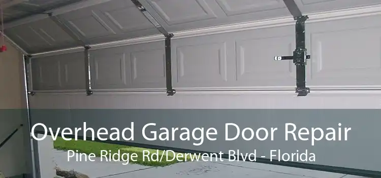 Overhead Garage Door Repair Pine Ridge Rd/Derwent Blvd - Florida