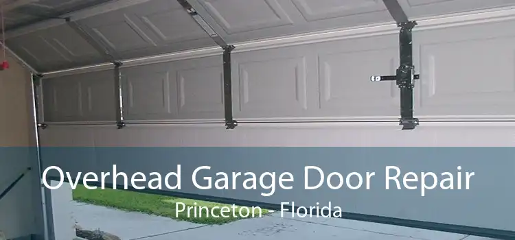 Overhead Garage Door Repair Princeton - Florida