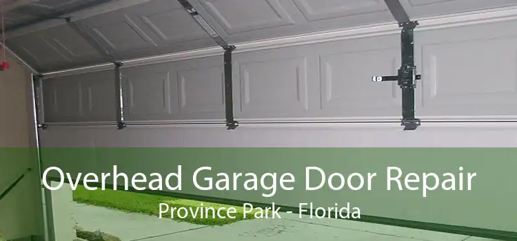 Overhead Garage Door Repair Province Park - Florida