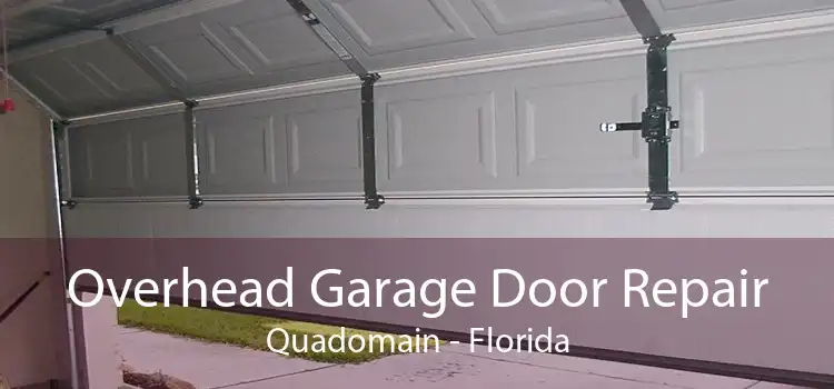 Overhead Garage Door Repair Quadomain - Florida