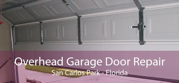 Overhead Garage Door Repair San Carlos Park - Florida