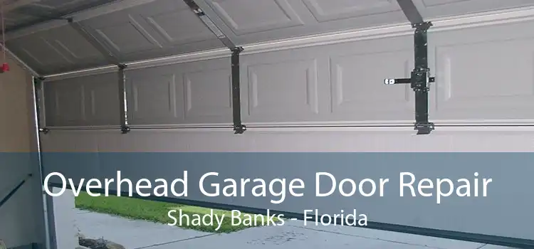 Overhead Garage Door Repair Shady Banks - Florida