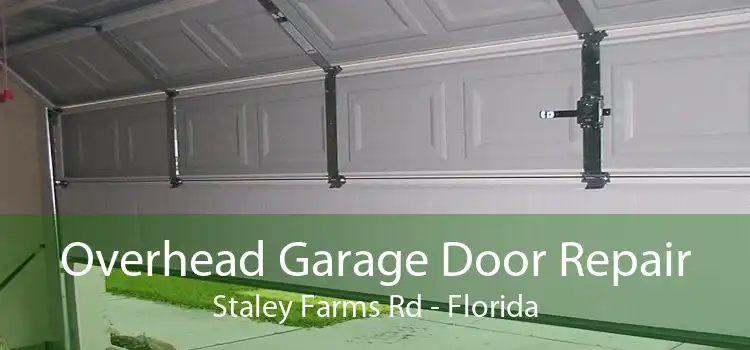 Overhead Garage Door Repair Staley Farms Rd - Florida