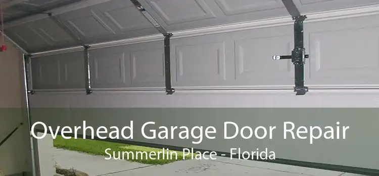 Overhead Garage Door Repair Summerlin Place - Florida