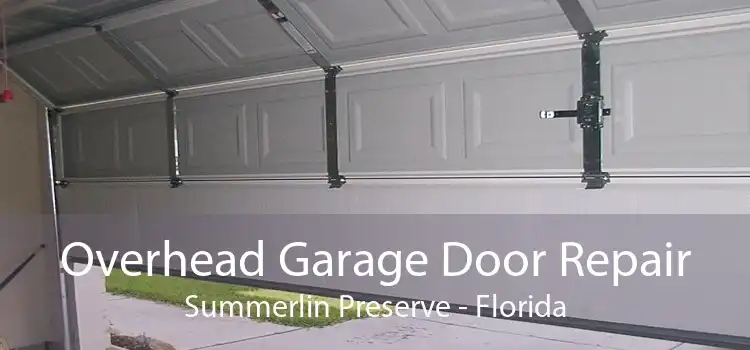 Overhead Garage Door Repair Summerlin Preserve - Florida