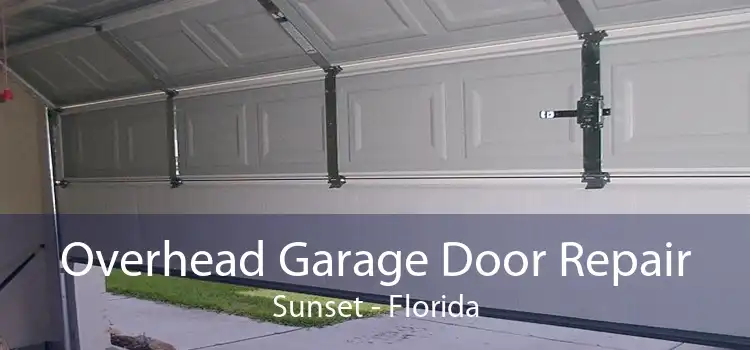 Overhead Garage Door Repair Sunset - Florida