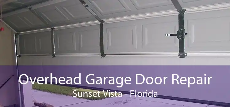 Overhead Garage Door Repair Sunset Vista - Florida