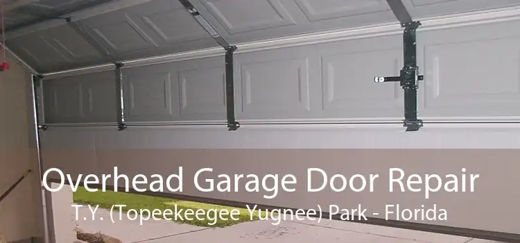 Overhead Garage Door Repair T.Y. (Topeekeegee Yugnee) Park - Florida