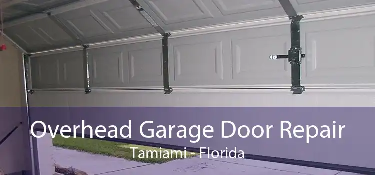 Overhead Garage Door Repair Tamiami - Florida