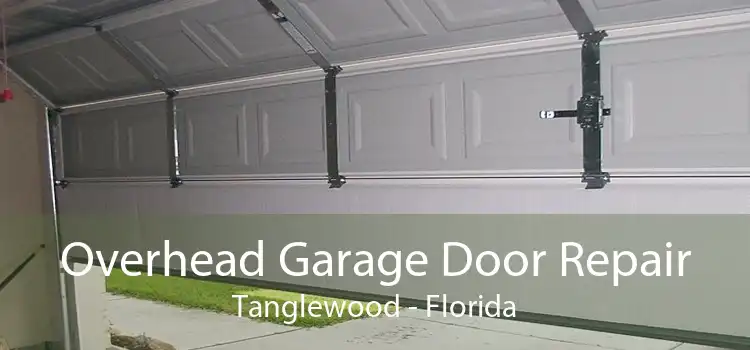 Overhead Garage Door Repair Tanglewood - Florida