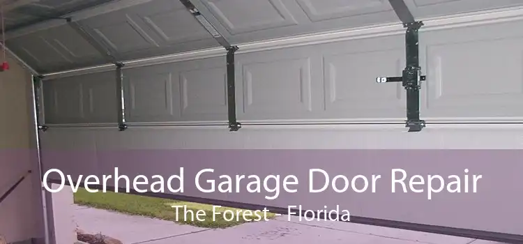 Overhead Garage Door Repair The Forest - Florida