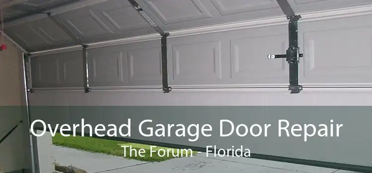 Overhead Garage Door Repair The Forum - Florida