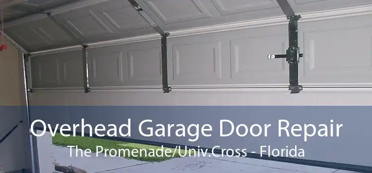 Overhead Garage Door Repair The Promenade/Univ.Cross - Florida