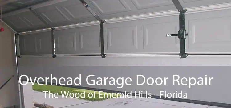 Overhead Garage Door Repair The Wood of Emerald Hills - Florida