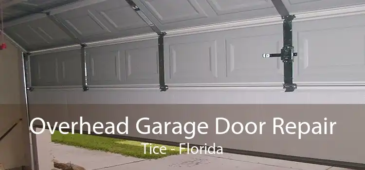 Overhead Garage Door Repair Tice - Florida