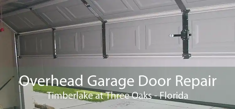 Overhead Garage Door Repair Timberlake at Three Oaks - Florida