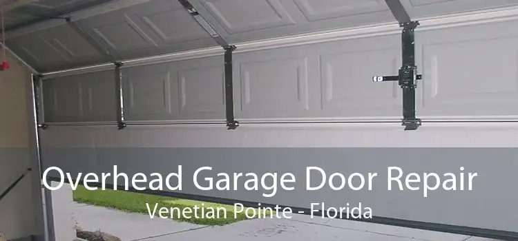 Overhead Garage Door Repair Venetian Pointe - Florida