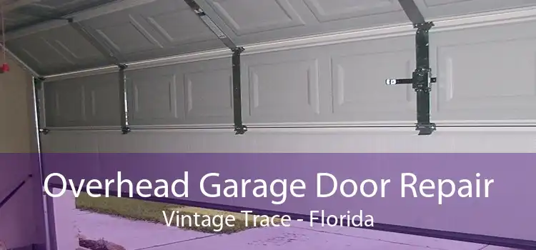 Overhead Garage Door Repair Vintage Trace - Florida