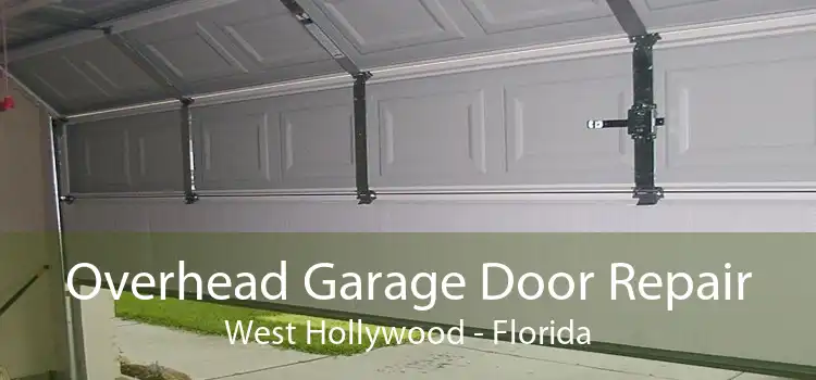 Overhead Garage Door Repair West Hollywood - Florida