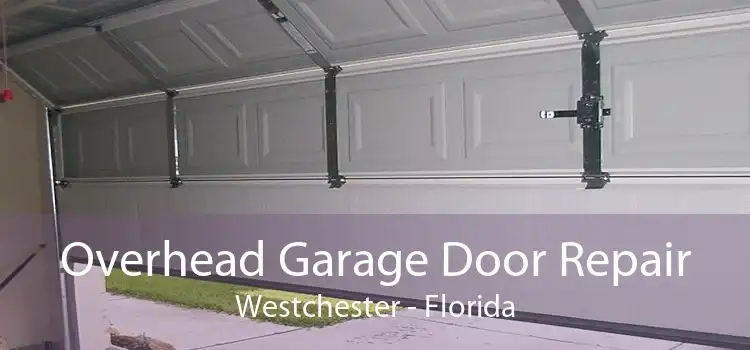 Overhead Garage Door Repair Westchester - Florida