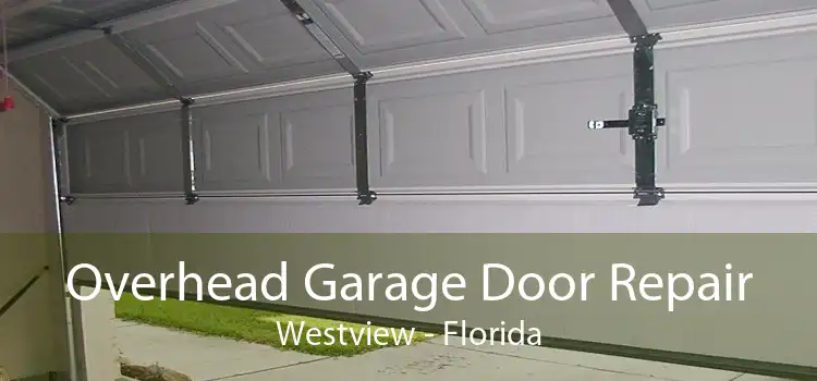 Overhead Garage Door Repair Westview - Florida