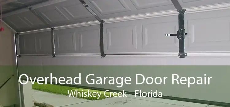 Overhead Garage Door Repair Whiskey Creek - Florida