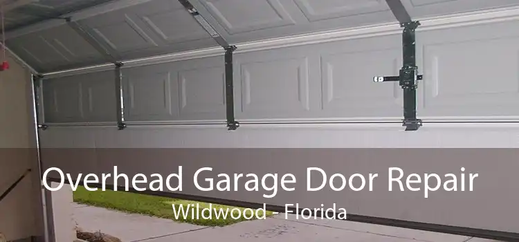 Overhead Garage Door Repair Wildwood - Florida