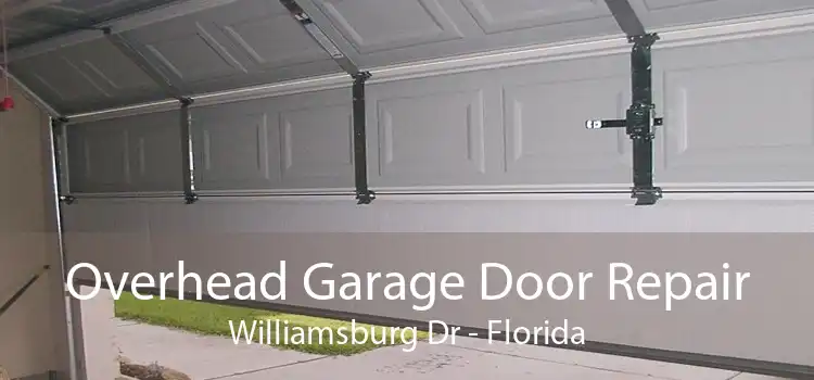 Overhead Garage Door Repair Williamsburg Dr - Florida