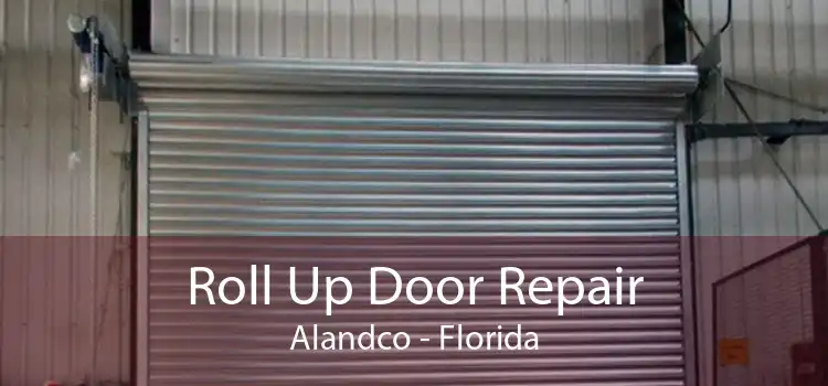 Roll Up Door Repair Alandco - Florida