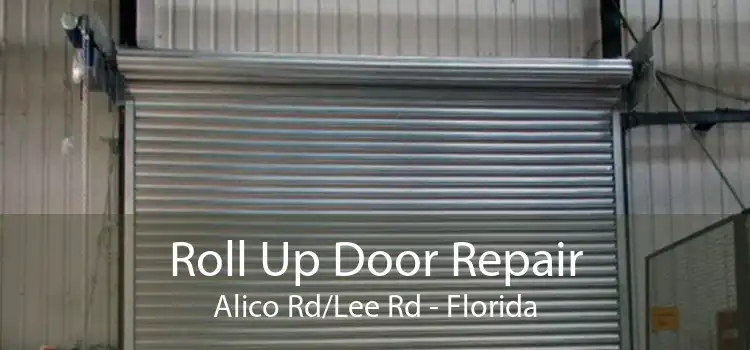 Roll Up Door Repair Alico Rd/Lee Rd - Florida