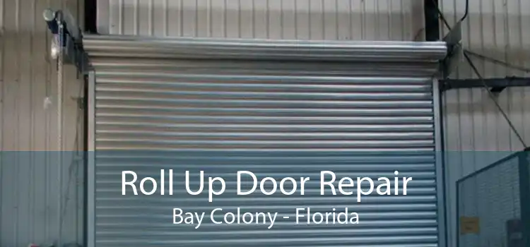 Roll Up Door Repair Bay Colony - Florida