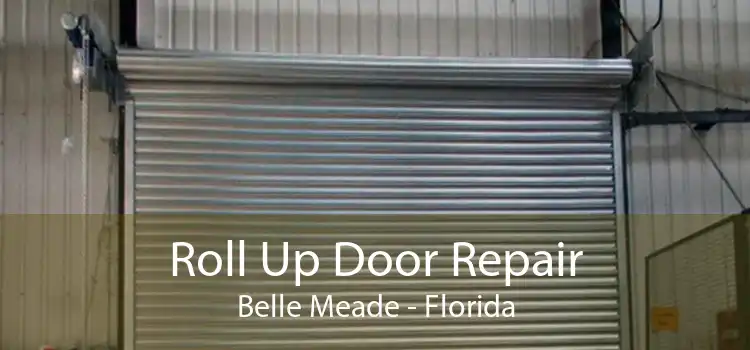 Roll Up Door Repair Belle Meade - Florida