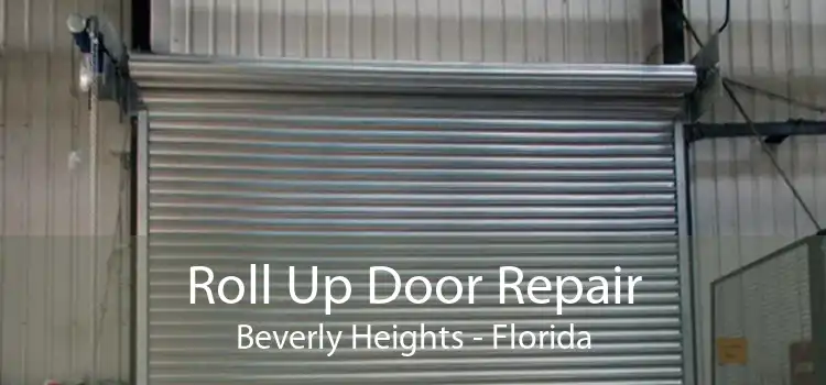 Roll Up Door Repair Beverly Heights - Florida