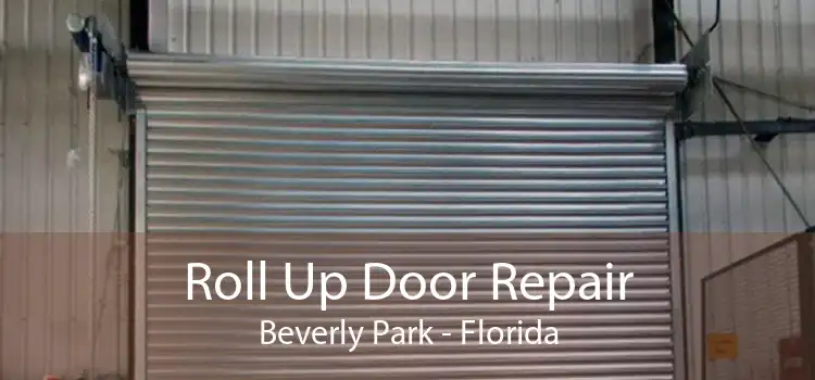 Roll Up Door Repair Beverly Park - Florida