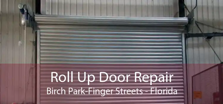 Roll Up Door Repair Birch Park-Finger Streets - Florida