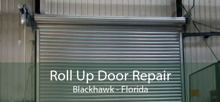 Roll Up Door Repair Blackhawk - Florida