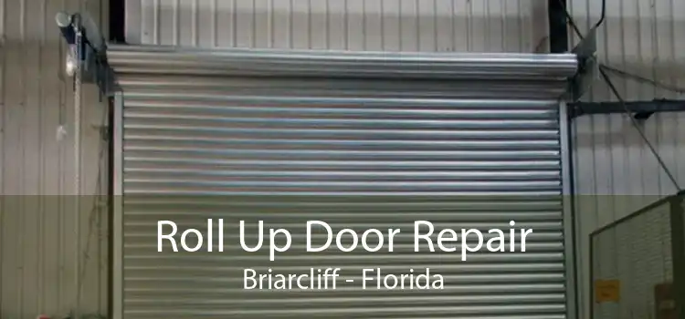 Roll Up Door Repair Briarcliff - Florida