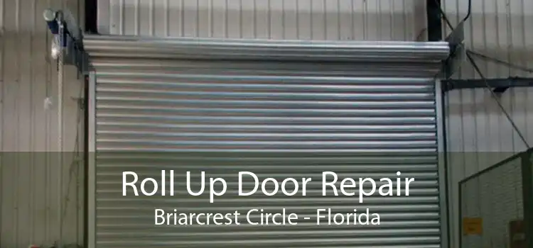 Roll Up Door Repair Briarcrest Circle - Florida