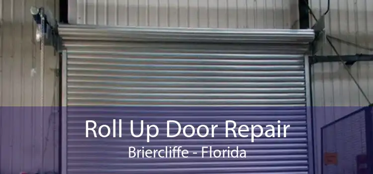 Roll Up Door Repair Briercliffe - Florida